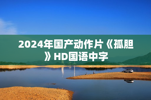 2024年国产动作片《孤胆》HD国语中字