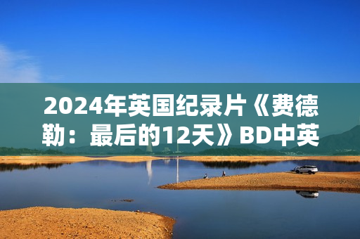 2024年英国纪录片《费德勒：最后的12天》BD中英双字