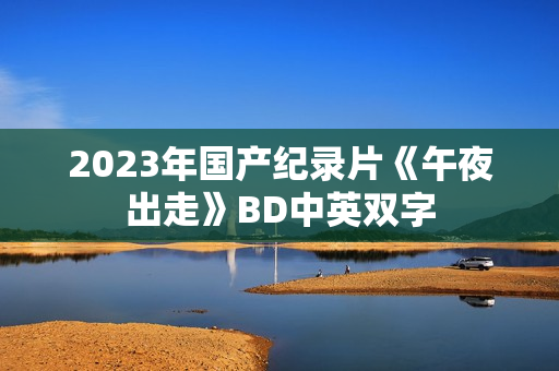 2023年国产纪录片《午夜出走》BD中英双字