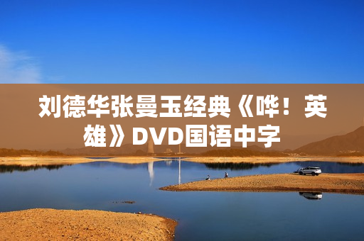 刘德华张曼玉经典《哗！英雄》DVD国语中字