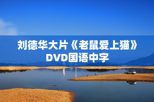 刘德华大片《老鼠爱上猫》DVD国语中字