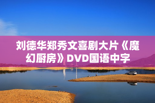 刘德华郑秀文喜剧大片《魔幻厨房》DVD国语中字