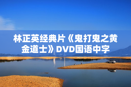 林正英经典片《鬼打鬼之黄金道士》DVD国语中字