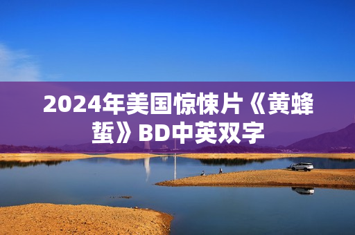 2024年美国惊悚片《黄蜂蜇》BD中英双字