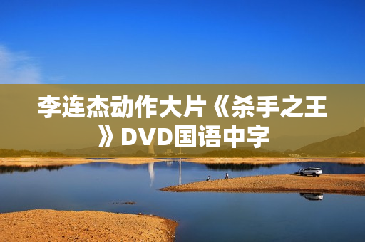 李连杰动作大片《杀手之王》DVD国语中字