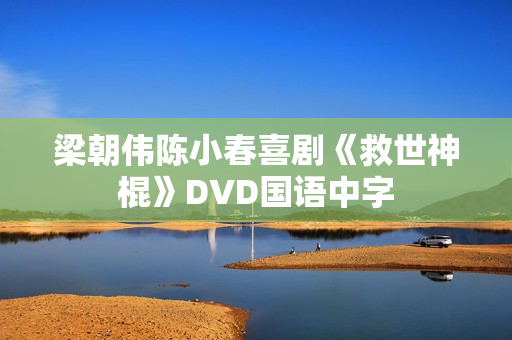 梁朝伟陈小春喜剧《救世神棍》DVD国语中字 梁朝伟陈小春喜剧《救世神棍》DVD国语中字