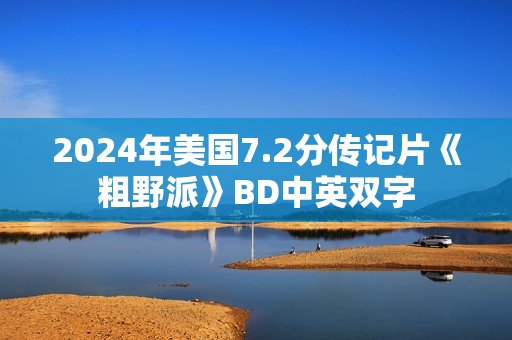 2024年美国7.2分传记片《粗野派》BD中英双字