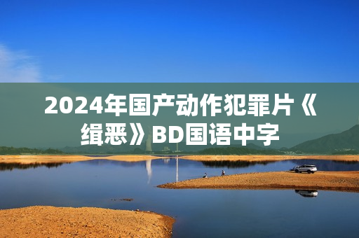 2024年国产动作犯罪片《缉恶》BD国语中字