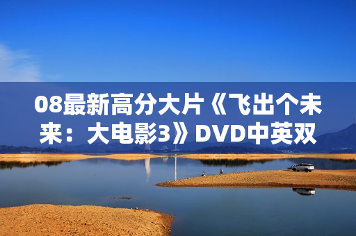 08最新高分大片《飞出个未来：大电影3》DVD中英双字