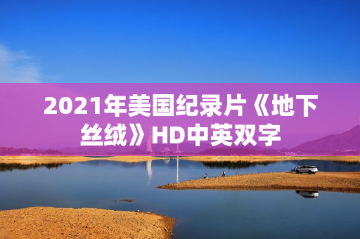 2021年美国纪录片《地下丝绒》HD中英双字