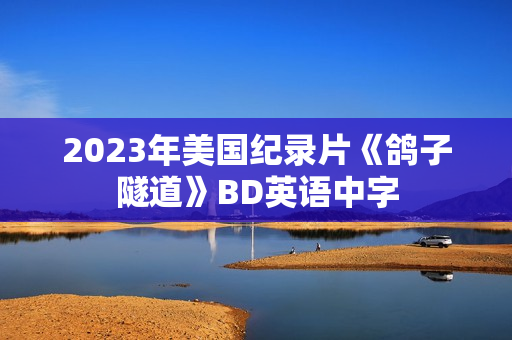 2023年美国纪录片《鸽子隧道》BD英语中字