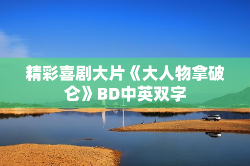 精彩喜剧大片《大人物拿破仑》BD中英双字 精彩喜剧大片《大人物拿破仑》BD中英双字