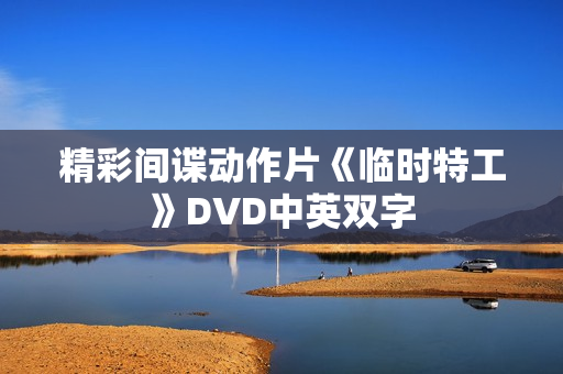 精彩间谍动作片《临时特工》DVD中英双字