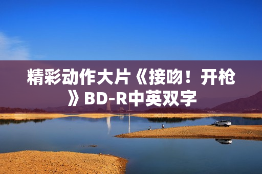 精彩动作大片《接吻！开枪》BD-R中英双字