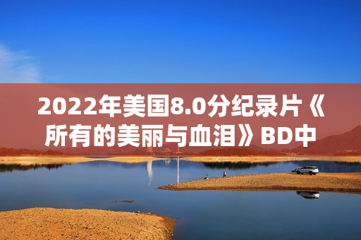 2022年美国8.0分纪录片《所有的美丽与血泪》BD中英双字