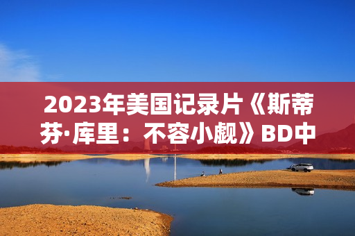 2023年美国记录片《斯蒂芬·库里：不容小觑》BD中英双字