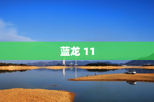 蓝龙 11