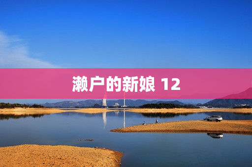濑户的新娘 12 濑户的新娘 12