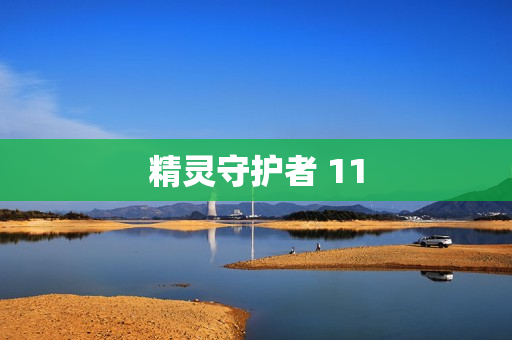 精灵守护者 11
