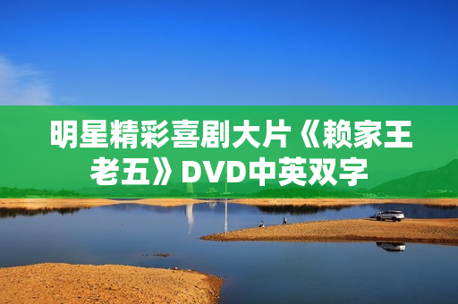 明星精彩喜剧大片《赖家王老五》DVD中英双字