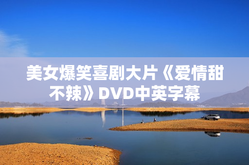 美女爆笑喜剧大片《爱情甜不辣》DVD中英字幕
