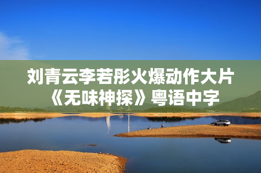刘青云李若彤火爆动作大片《无味神探》粤语中字