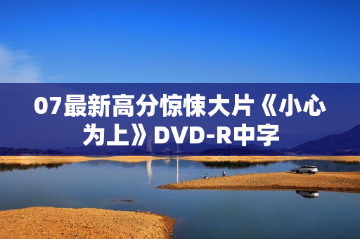 07最新高分惊悚大片《小心为上》DVD-R中字