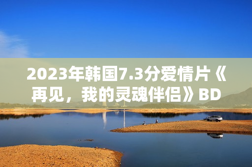 2023年韩国7.3分爱情片《再见，我的灵魂伴侣》BD韩语中字