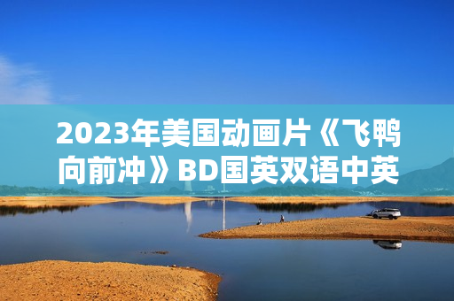 2023年美国动画片《飞鸭向前冲》BD国英双语中英双字