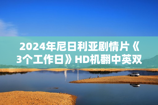 2024年尼日利亚剧情片《3个工作日》HD机翻中英双字