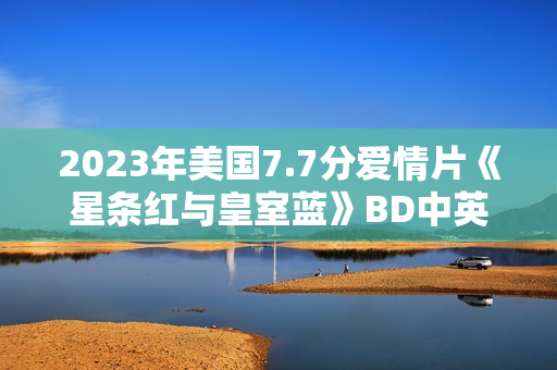 2023年美国7.7分爱情片《星条红与皇室蓝》BD中英双字