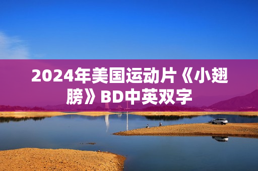 2024年美国运动片《小翅膀》BD中英双字