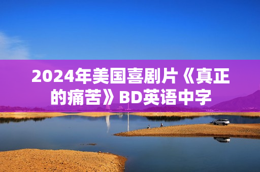 2024年美国喜剧片《真正的痛苦》BD英语中字