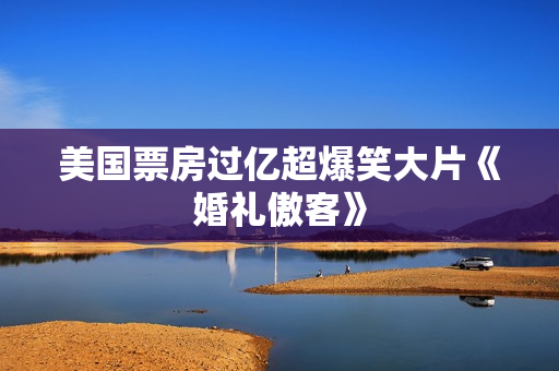 美国票房过亿超爆笑大片《婚礼傲客》