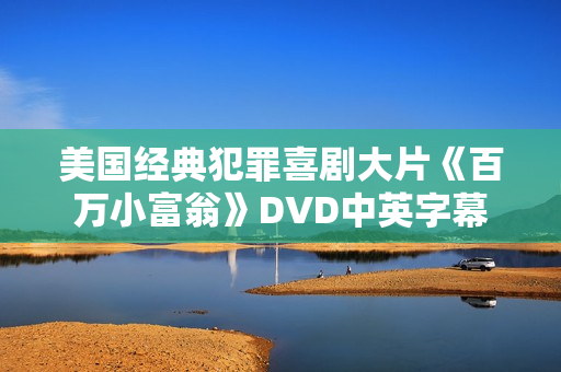 美国经典犯罪喜剧大片《百万小富翁》DVD中英字幕