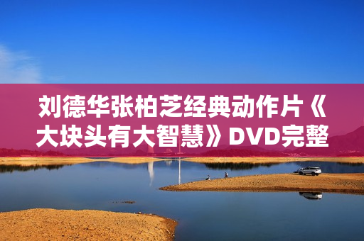 刘德华张柏芝经典动作片《大块头有大智慧》DVD完整版