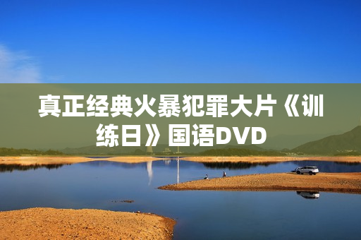 真正经典火暴犯罪大片《训练日》国语DVD