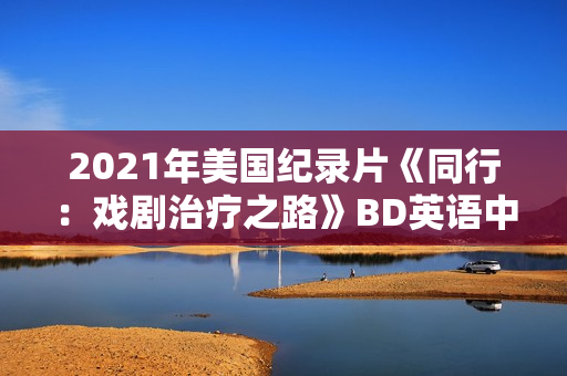 2021年美国纪录片《同行：戏剧治疗之路》BD英语中字