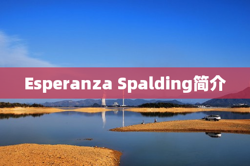 Esperanza Spalding简介
