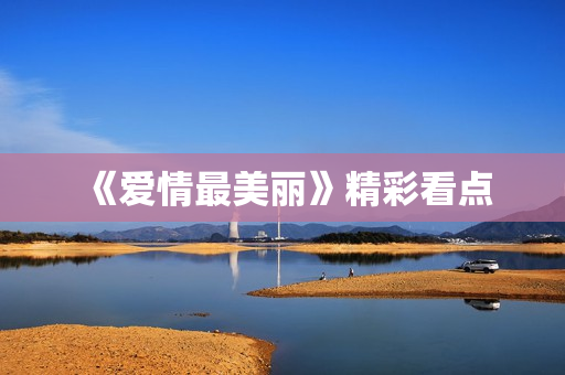 《爱情最美丽》精彩看点