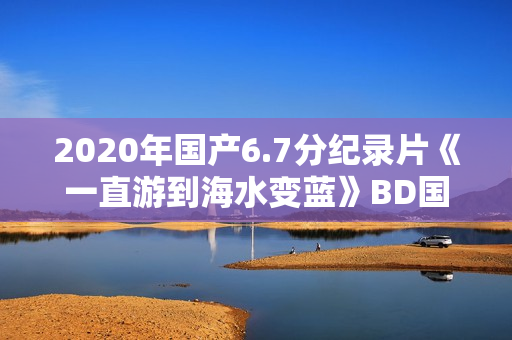 2020年国产6.7分纪录片《一直游到海水变蓝》BD国语中字