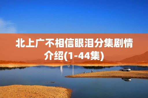 北上广不相信眼泪分集剧情介绍(1-44集)