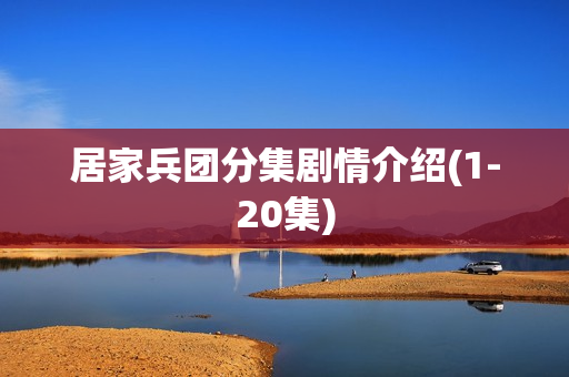 居家兵团分集剧情介绍(1-20集)