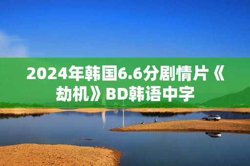 2024年韩国6.6分剧情片《劫机》BD韩语中字