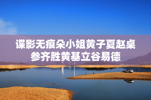谍影无痕朵小姐黄子夏赵桌参齐胜黄基立谷易德