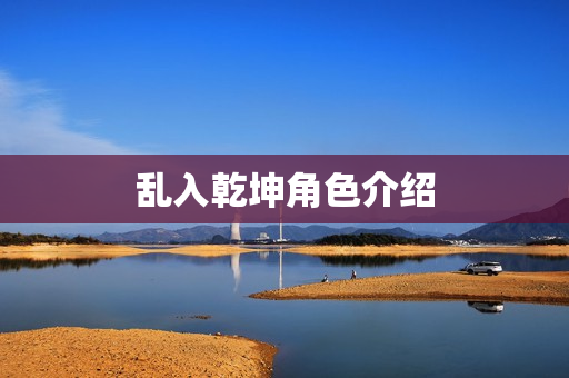 乱入乾坤角色介绍
