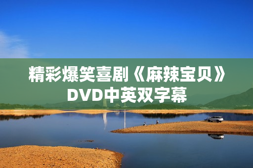 精彩爆笑喜剧《麻辣宝贝》DVD中英双字幕 精彩爆笑喜剧《麻辣宝贝》DVD中英双字幕