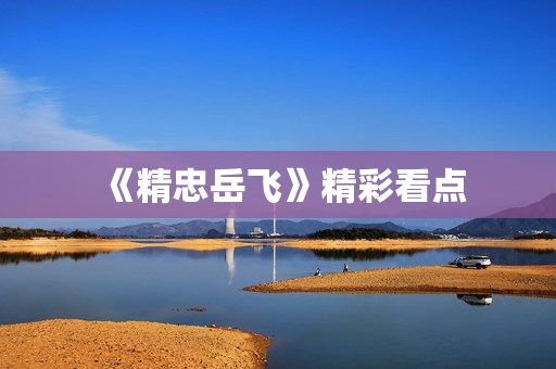 《精忠岳飞》精彩看点