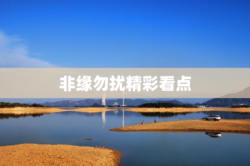 非缘勿扰精彩看点