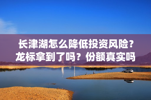 长津湖怎么降低投资风险？龙标拿到了吗？份额真实吗？(长津湖 太长了)